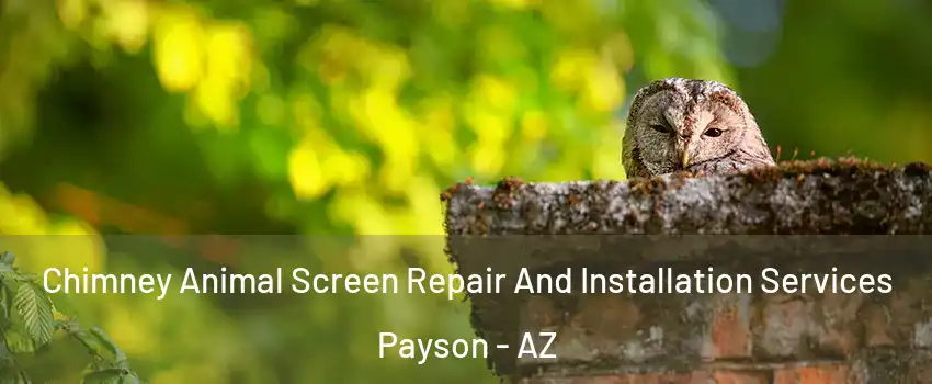  Chimney Animal Screen Repair And Installation Services Payson - AZ