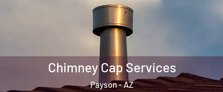  Chimney Cap Services Payson - AZ
