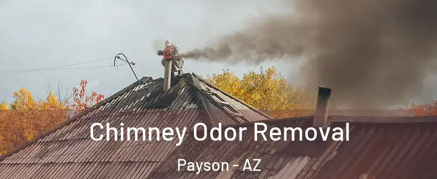  Chimney Odor Removal Payson - AZ