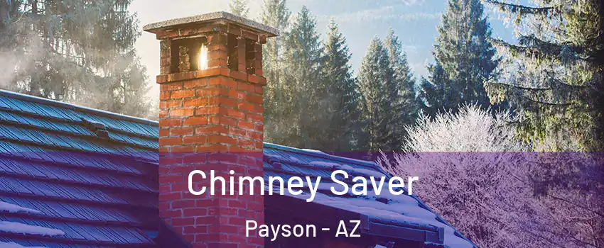  Chimney Saver Payson - AZ