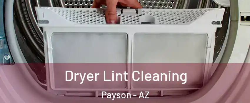  Dryer Lint Cleaning Payson - AZ