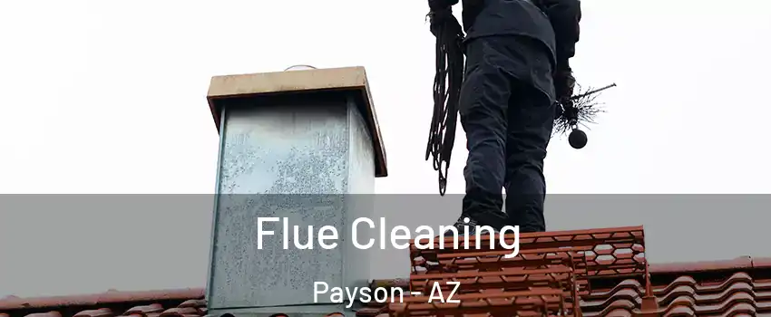  Flue Cleaning Payson - AZ