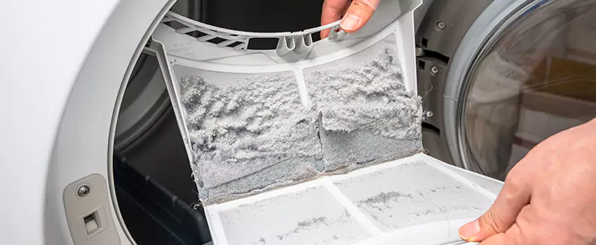 Best Dryer Lint Removal Company in Payson, Arizona