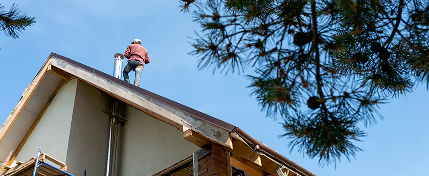 Birds Removal Contractors from Chimney in Payson, AZ