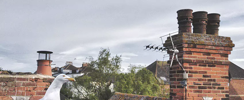Chimney Cleaning And Restoration in Payson, Arizona