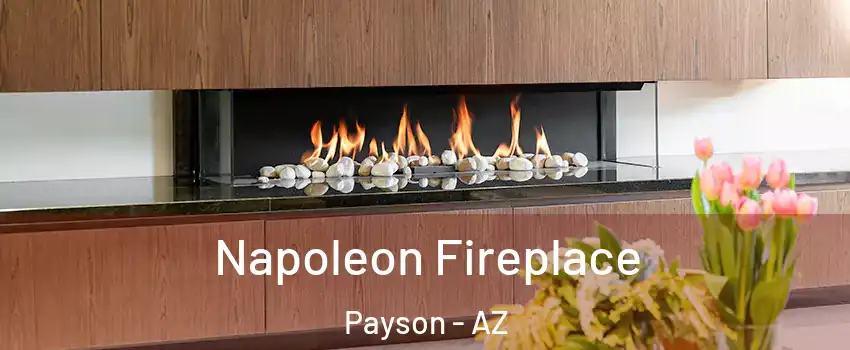  Napoleon Fireplace Payson - AZ